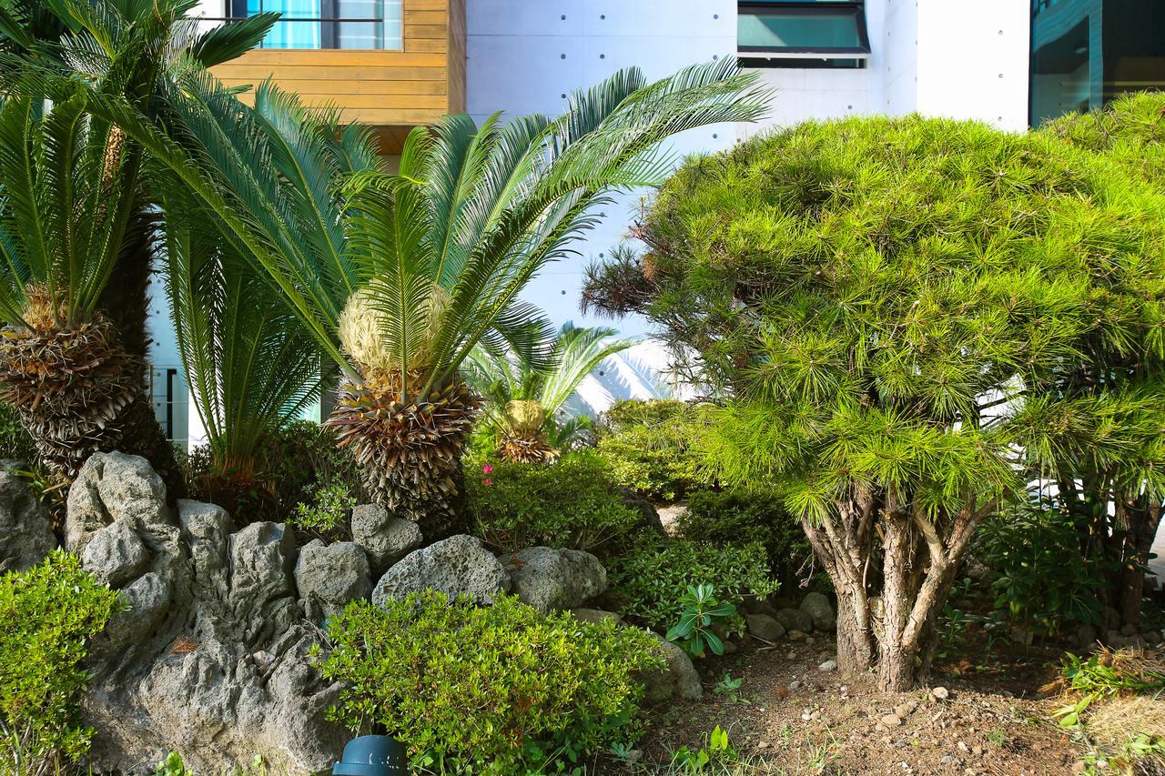 Hostel Seogwipo Port Avenue Exterior foto